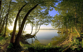 Landscape, Rivers, Trees HD wallpaper
