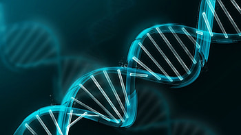 DNA, Science HD wallpaper