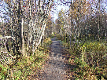 old road, com HD wallpaper