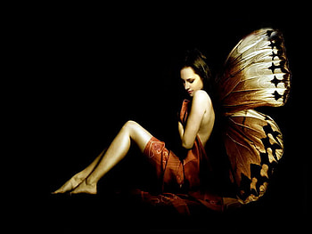 Butterfly Fantasy, dreamer, alone, girl, digital art, beautiful, beauty, fairy, butterfly, fantasy, wing, cg, pretty, lovely, sensual, female HD wallpaper