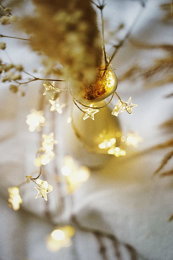 Warm and festive fairy lights in a star shape creating a cozy holiday atmosphere. HD phone wallpaper