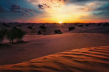 Nature, Sunset, Sand, Desert, Bush, Hills HD wallpaper
