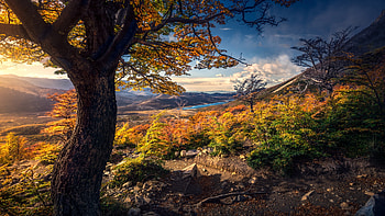 Patagonia, Argentina, clouds, trees, landscape, autumn, sky, mountains, forest HD wallpaper