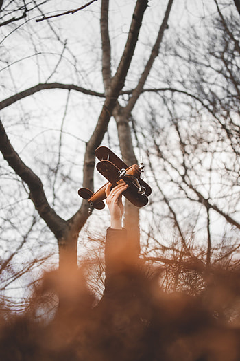 Trees, Hand, Miscellanea, Miscellaneous, Branches, Toy, Plane, Airplane HD phone wallpaper
