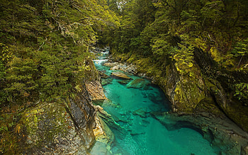 Blue Pools, South Island New Zealand, trees, forest, rocks, water HD wallpaper
