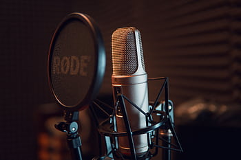 Close-up of a studio micro with pop filter, ideal for recording audio. HD wallpaper