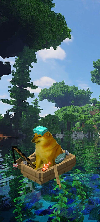 Xhxhx, siuu, xd, cubos HD phone wallpaper