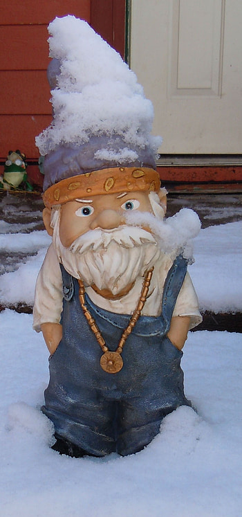 Funny Garden Gnomes, Gnome Garden, Funny Gnomes HD phone wallpaper
