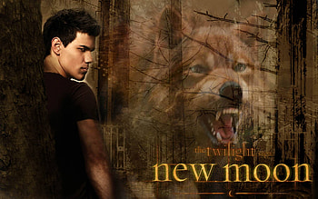 Taylor Lautner Twilight , Actor, Heartthrob, Teen idol HD wallpaper