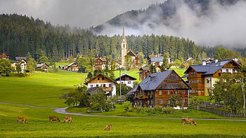 Austria, Cities, Houses, Cows, Village, Gosau, Gozau HD wallpaper