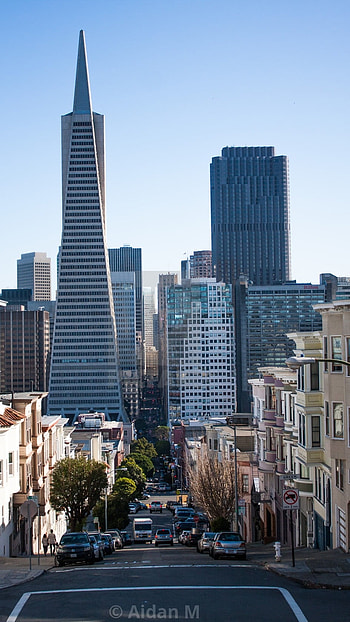 Cityscape, Building Background HD phone wallpaper