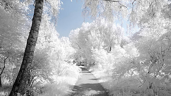 Landscape, Winter, Roads HD wallpaper