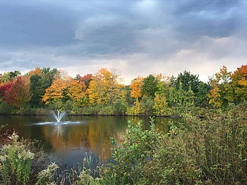 Mill Pond at Fall time, Connecticut, New England, Fall Time, Park, Autumn HD wallpaper