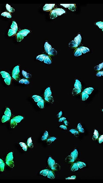 Green Butterfly, Adorable Aesthetic HD phone wallpaper