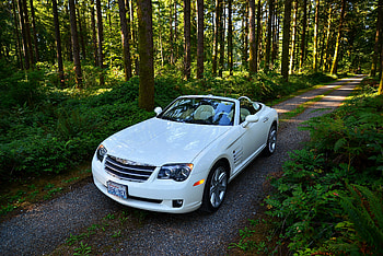 Trees, Chrysler, Cars, Road, Forest, Cabriolet, Crossfire Srt6 HD wallpaper