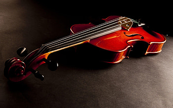 Viola music, Violin , Stringed elegance, Melodic strings HD wallpaper