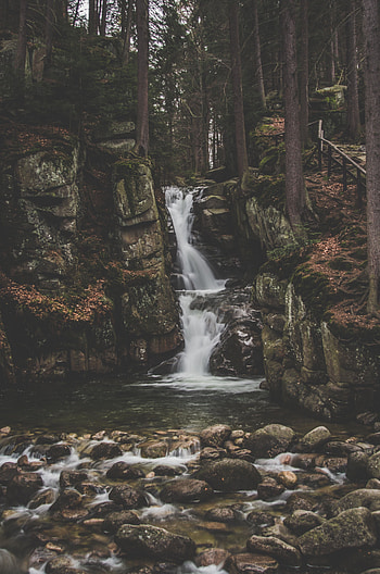 Nature, Trees, Stones, Waterfall, Forest, Flow HD phone wallpaper