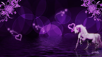purple dream, purple, magia, fantasy, lights, violet, love, amor, dark HD wallpaper