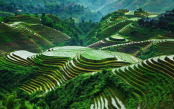 Banaue rice terraces , Top banaue rice terraces backgrounds HD wallpaper