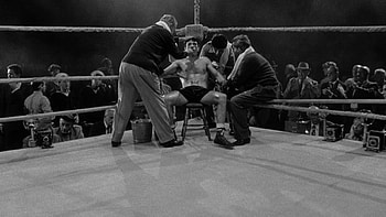 Raging Bull, Cinematic experience, Captivating , Intense HD wallpaper