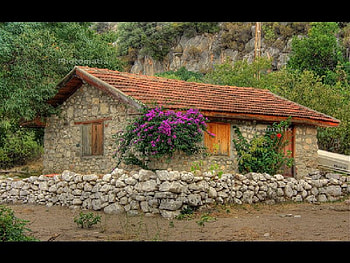 The little one room school house on the beach, school, room, house, beach HD wallpaper