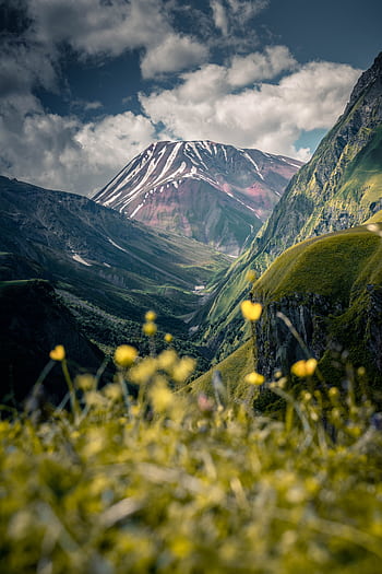 Snow-capped mountain surrounded by lush greenery and yellow flowers under a vibrant sky in Georgia. HD phone wallpaper
