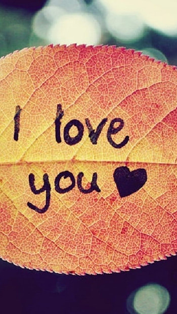 L Love You, Leaf Background HD phone wallpaper