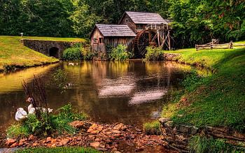 Nature, Geese, Houses, Summer, Wheel, Pond, Mill, Small Houses HD wallpaper
