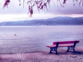 A return to the sea, sea, bench, peaceful, tree, mountain, beach, lake, pink, branches, clouds, return, nature, sky, calm HD wallpaper