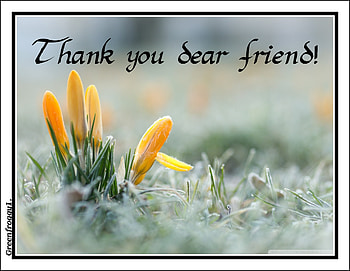 THANK YOU, YOU, COMMENT, THANK, CARD HD wallpaper