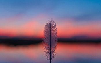 Sunset, Feather, Horizon, Miscellanea, Miscellaneous, Blur, Smooth, Pen HD wallpaper