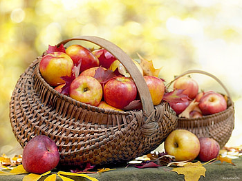 Fruits, Food, Apples HD wallpaper