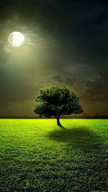 Full Moon Lock Screen Samsung Galaxy Note 2 _Samsung . Natural scenery, Nature, Beautiful nature, Galaxy Note 1 HD phone wallpaper