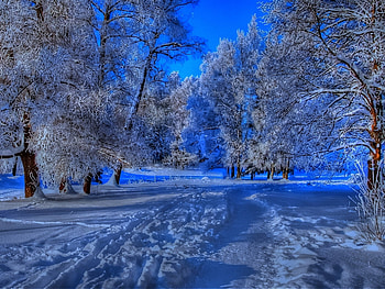 Landscape, Winter, Snow HD wallpaper