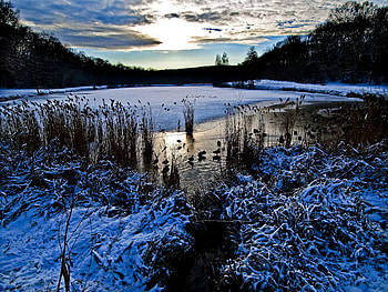 The Marsh, ducks, snow, landscape, clouds, water, reflections, ice, skyscape HD wallpaper