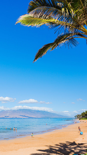 Hawaii's grandeur, Pristine landscapes, Oceanic beauty, Majestic vistas HD phone wallpaper