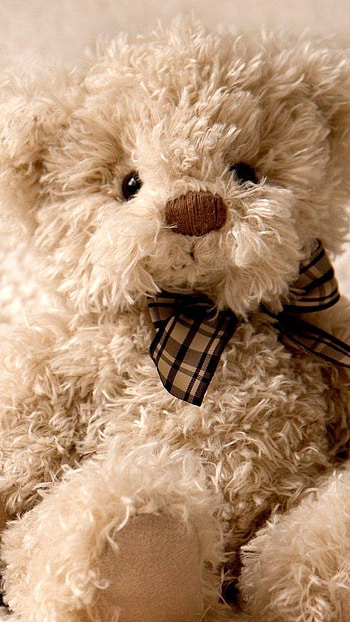 Teddy Bear Ka, Cute, Lovely, Teddy Bear HD phone wallpaper