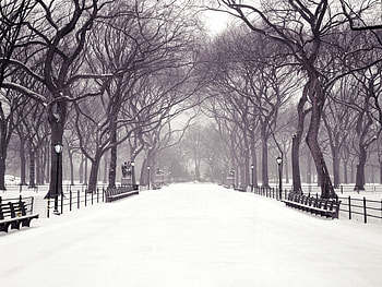 Landscape, Winter HD wallpaper