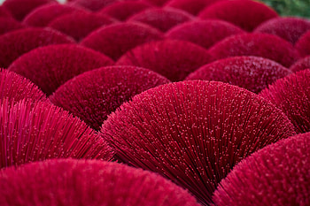Decoration, red fibers, close up, red pattern HD wallpaper