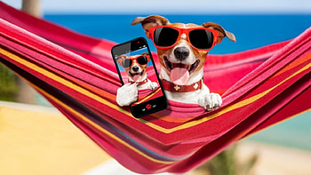★Selfie★, sea, holiday, sand, sunglasses, , smart, hammock, beach HD wallpaper