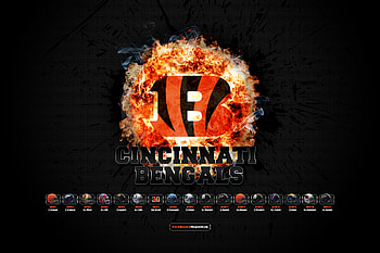 Cincinnati Bengals Backgrounds (64 ) HD wallpaper