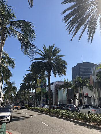 Beverly Hills, Background , Michelle Cunningham, Aesthetic HD phone wallpaper