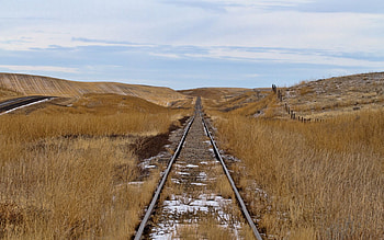 Nature, Field, Path, Railway, Rails, Way HD wallpaper