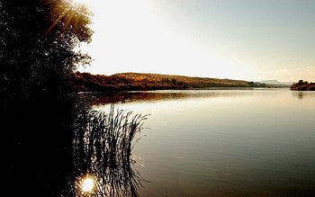 Nature, Trees, Lake, Shore, Sunlight, Reeds, Sun Rays, Shores HD wallpaper
