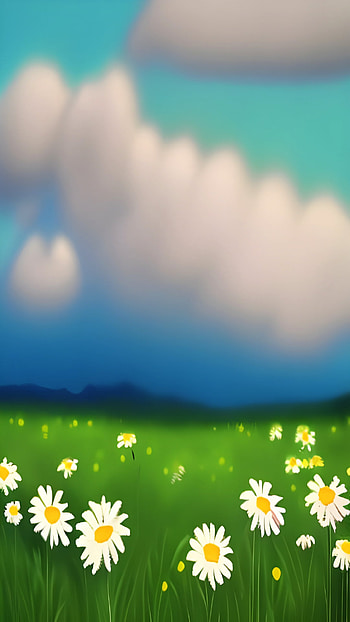 Daisy Field, artistic, horizon HD phone wallpaper