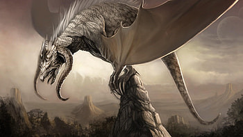 Fantasy, Dragons HD wallpaper