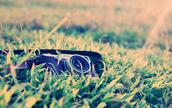 Lens, Grass, Macro, Camera HD wallpaper