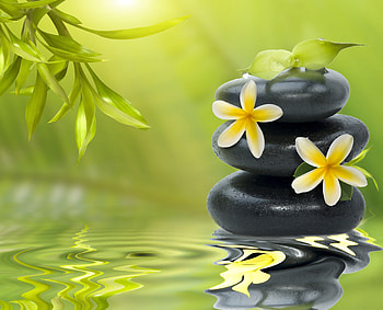 SERENITY, GREEN, LEAVES, HOT, ROCKS, FLOWERS, STILL LIFE, FANTASY, SPA, DITIGAL ART, FIELDS, FOUNTAIN HD wallpaper