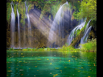 Lagoon waterfall, trees, waterfalls, water plants, woodland, lagoon HD wallpaper