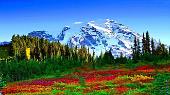 Spring in the mountains, landscape, trees, sky, meadow, flowers HD wallpaper